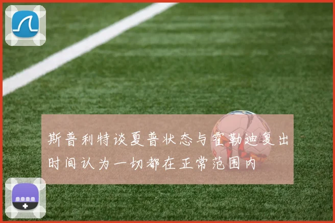 斯普利特谈夏普状态与霍勒迪复出时间认为一切都在正常范围内