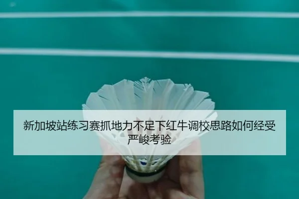 新加坡站练习赛抓地力不足下红牛调校思路如何经受严峻考验（bet365）